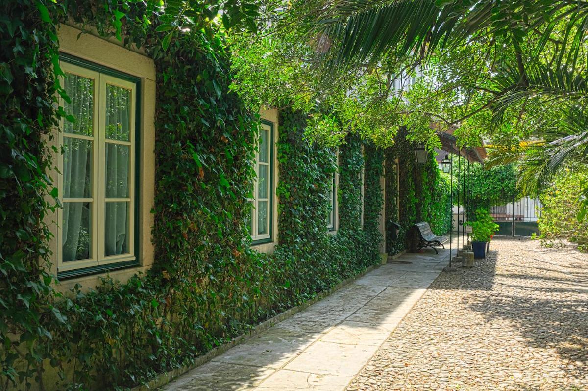 Casa Do Foral Guest House ริโอ มายอร์ ภายนอก รูปภาพ